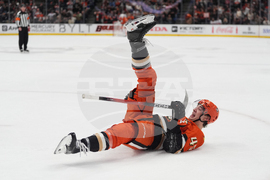 Islanders Ducks Hockey