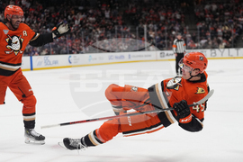 Islanders Ducks Hockey