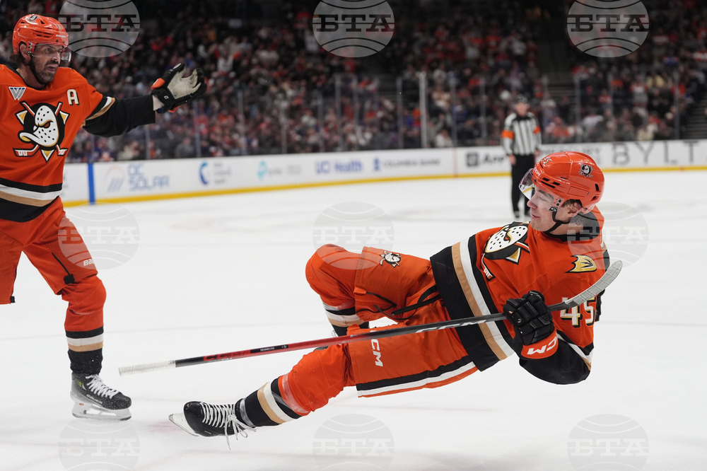 Islanders Ducks Hockey