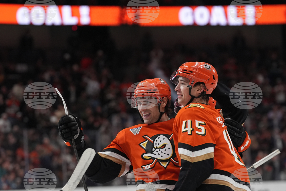 Islanders Ducks Hockey