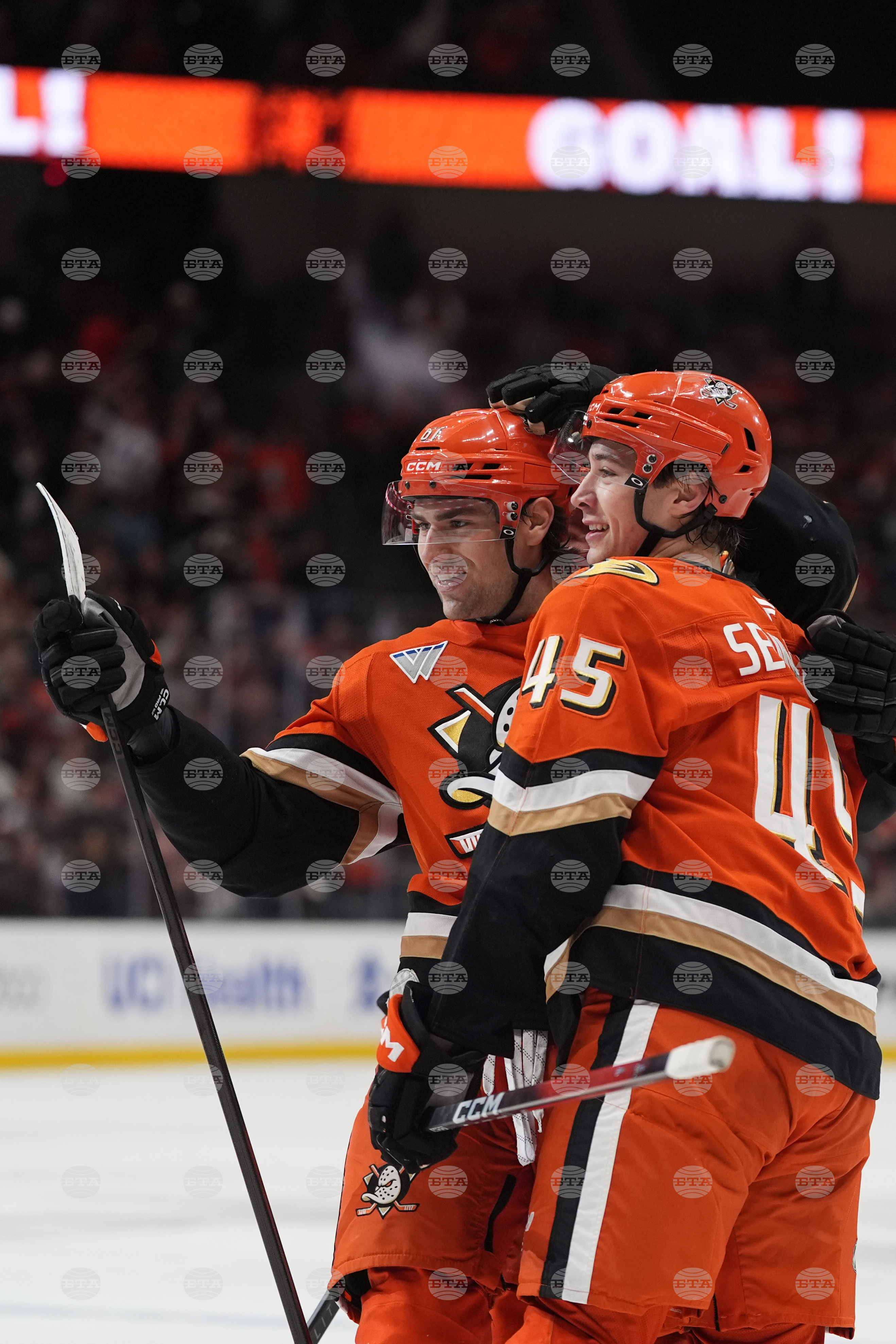 Islanders Ducks Hockey