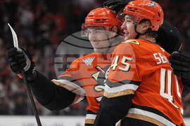 Islanders Ducks Hockey