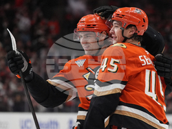 Islanders Ducks Hockey