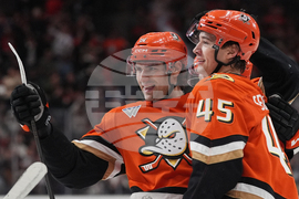 Islanders Ducks Hockey