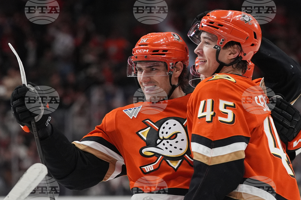 Islanders Ducks Hockey