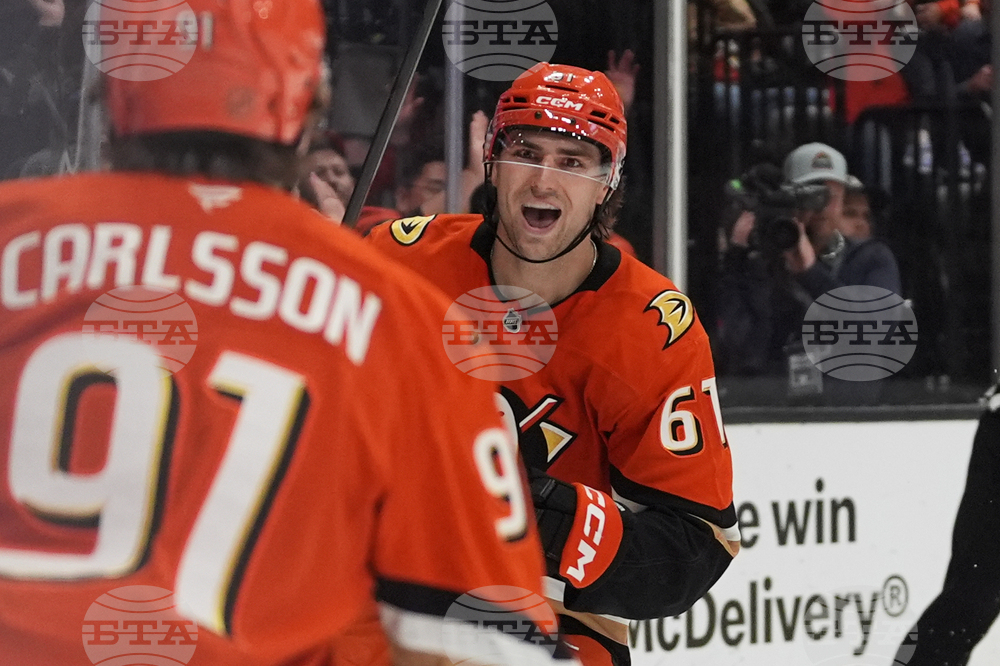 Islanders Ducks Hockey