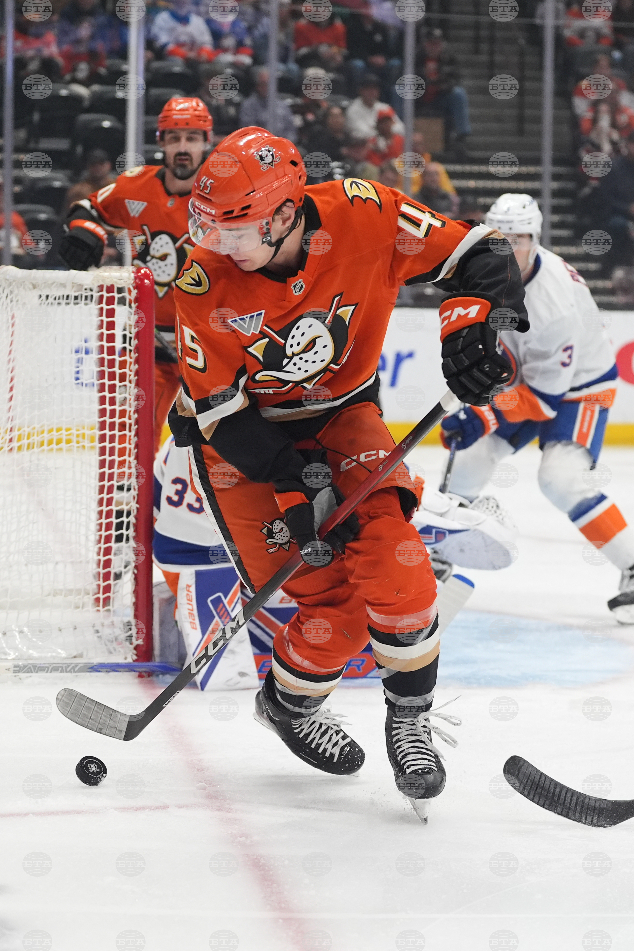 Islanders Ducks Hockey