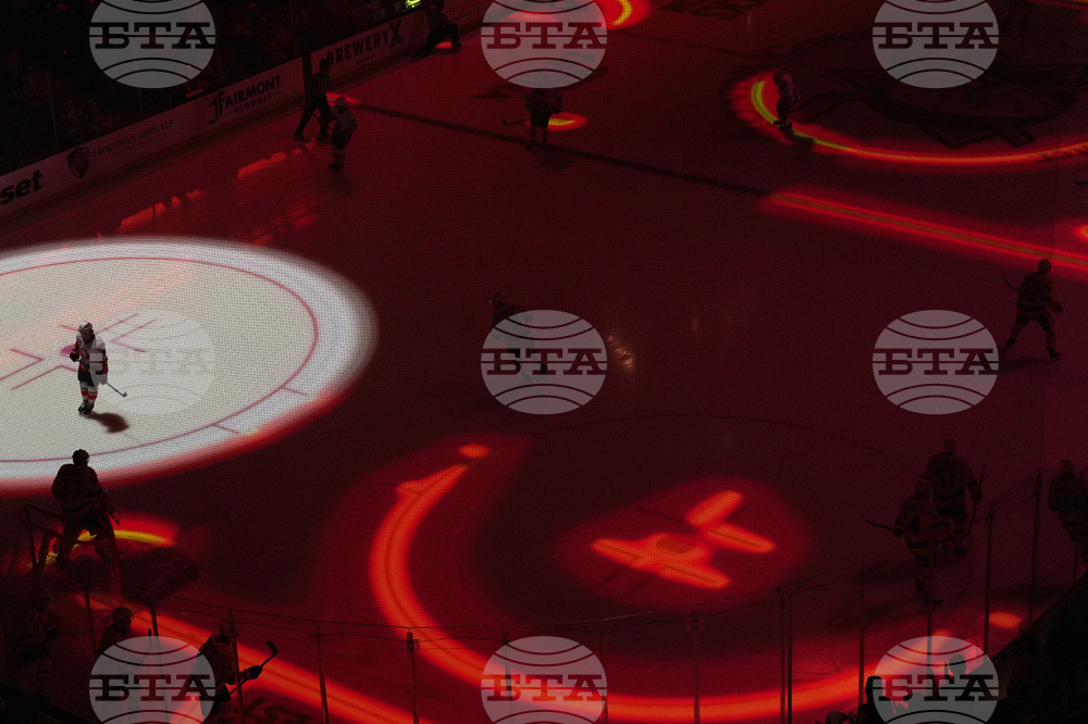 Islanders Ducks Hockey