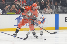 Islanders Ducks Hockey