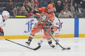 Islanders Ducks Hockey