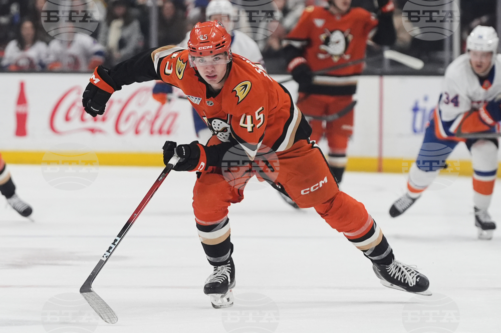 Islanders Ducks Hockey