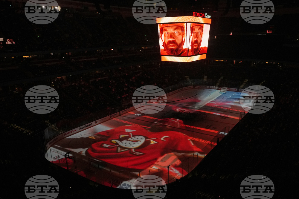 Islanders Ducks Hockey