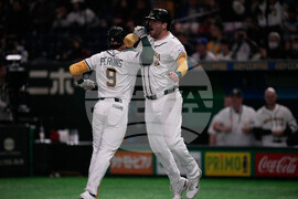 WBC Taiwan Australia Baseball