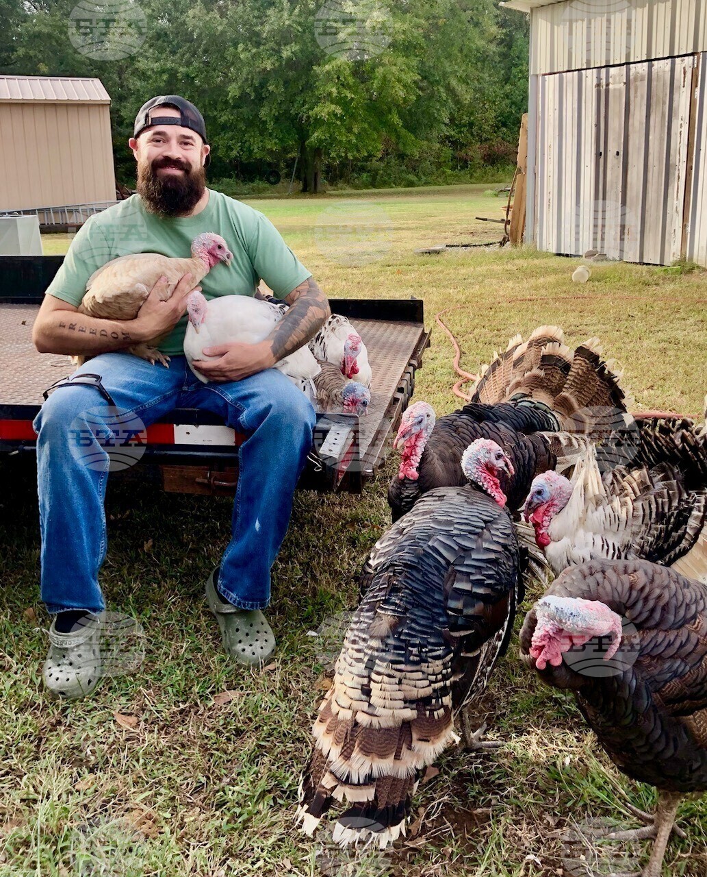 Election 2026 Arkansas Sheriff