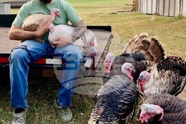 Election 2026 Arkansas Sheriff