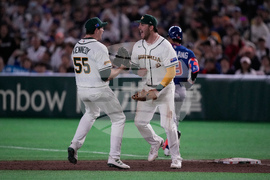 WBC Taiwan Australia Baseball