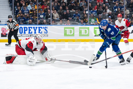 Hurricanes Canucks Hockey