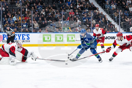 Hurricanes Canucks Hockey