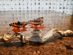 Denmark Gastronomy Art