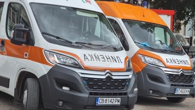 Дете и две жени са настанени в болница след нахапване от домашно куче във Великотърновско