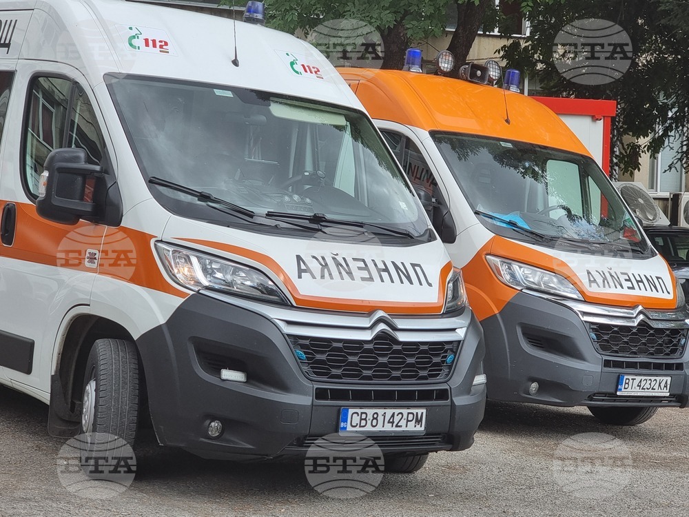 Дете и две жени са настанени в болница след нахапване от домашно куче във Великотърновско