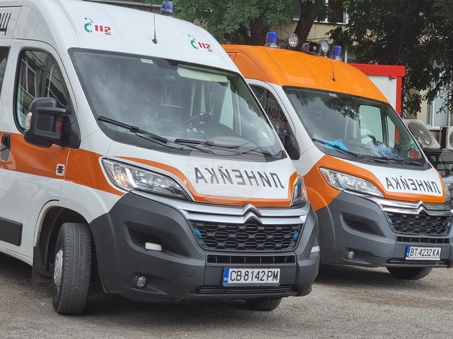 Дете и две жени са настанени в болница след нахапване от домашно куче във Великотърновско