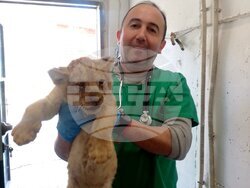 Снимка: Община Стара Загора 