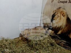 Снимка: Община Стара Загора 