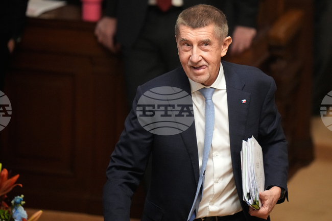 Бивша сътрудничка на чешкия премиер Андрей Бабиш получи тригодишна условна присъда и глоба за измама с евросубсидии