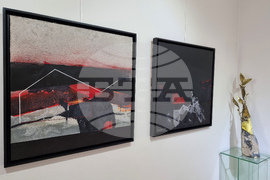 Варна - Мартина Караиванова - изложба живопис