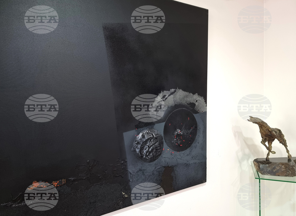 Варна - Мартина Караиванова - изложба живопис