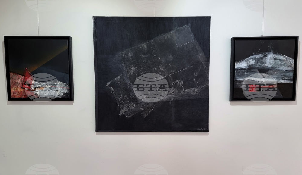 Варна - Мартина Караиванова - изложба живопис