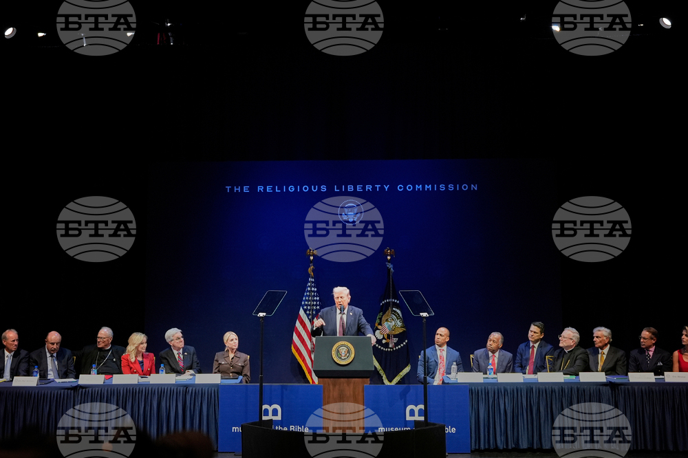 Christ is King Politics