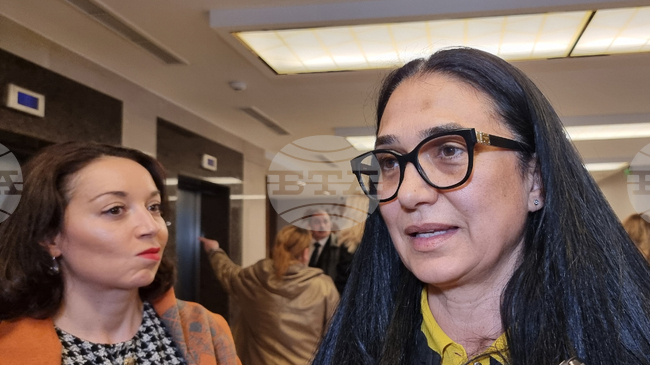 Намерено е приемно семейство за близнаци, отглеждани девет месеца в Националната кардиологична болница, съобщи зам.-министър Румяна Петкова 