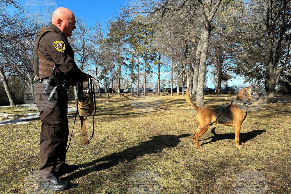 Bloodhound Patrol North Dakota