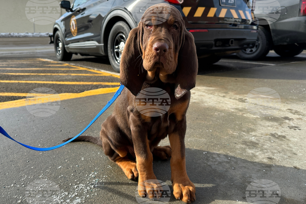 Bloodhound Patrol North Dakota