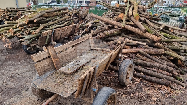 Заловен е мъж от Брусарци, който режел с моторен трион гора в района