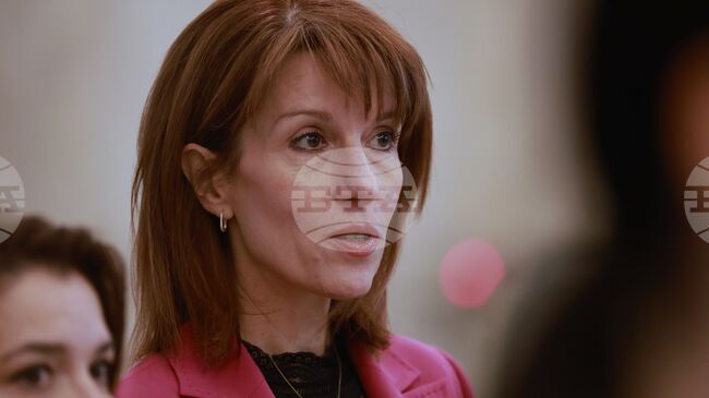 Машините, които ще се използват на изборите в страната и чужбина, ще бъдат технически изправни, увери председателят на ЦИК Камелия Нейкова