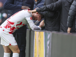 Germany Soccer Bundesliga