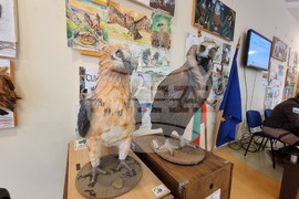 Сливен - пресконференция - ПП "Сините камъни"