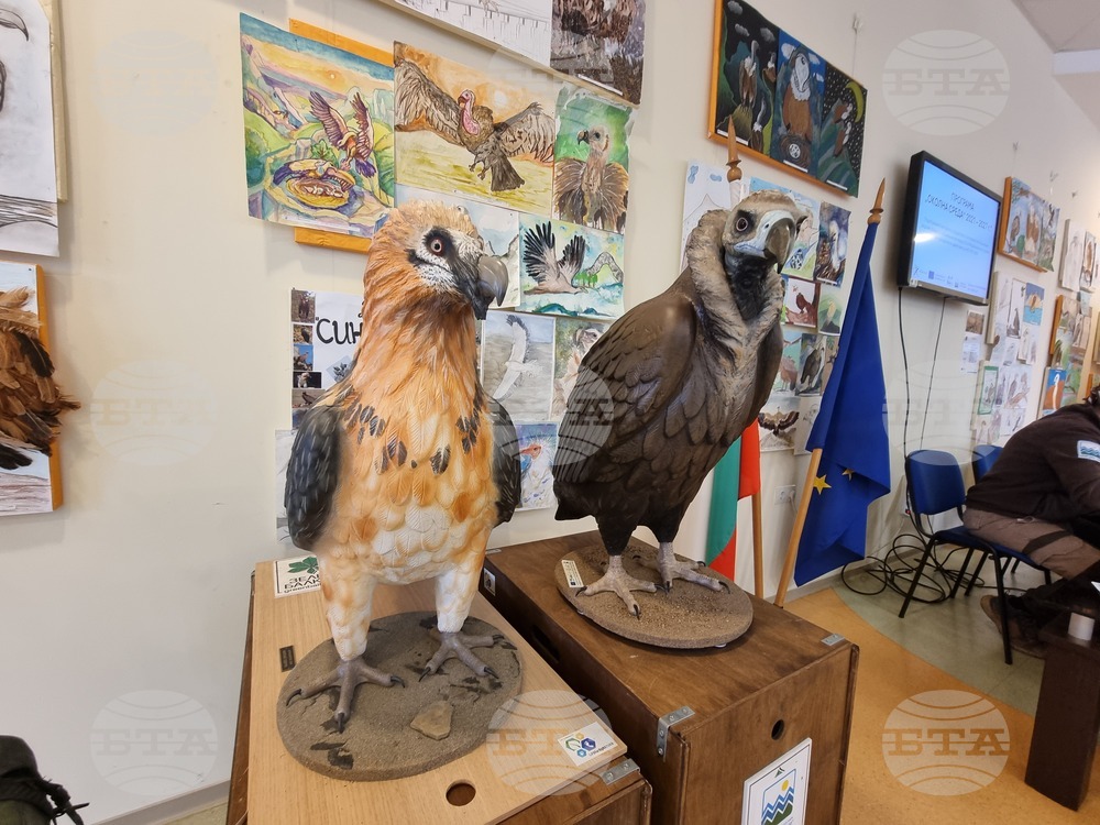 Сливен - пресконференция - ПП "Сините камъни"