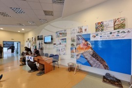 Сливен - пресконференция - ПП "Сините камъни"