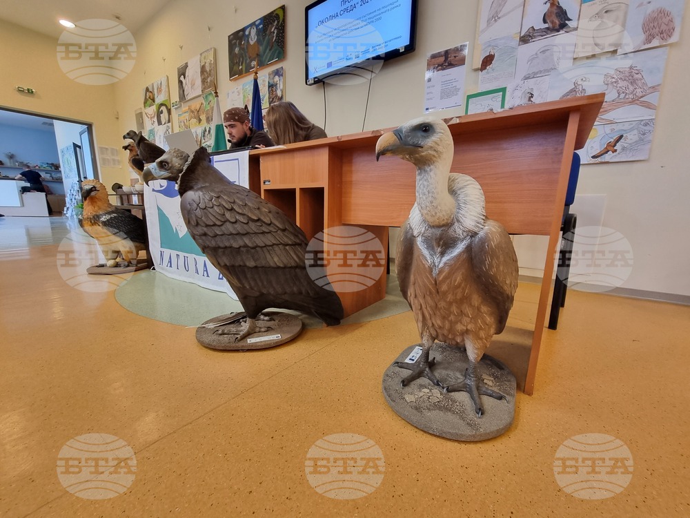 Сливен - пресконференция - ПП "Сините камъни"