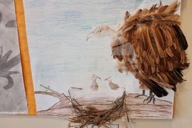 Сливен - пресконференция - ПП "Сините камъни"