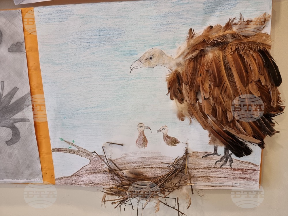 Сливен - пресконференция - ПП "Сините камъни"