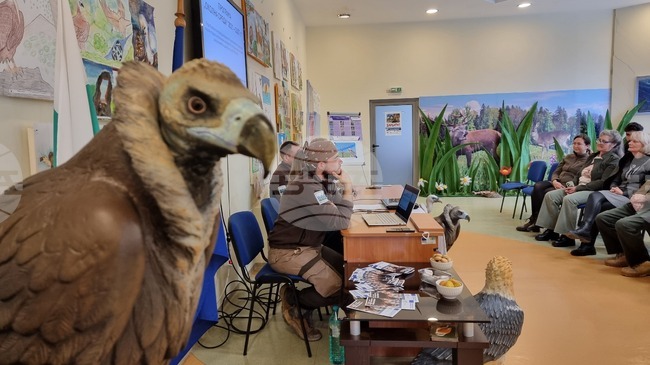 Проект ще подпомогне подхранването на лешоядите в Сливенския Балкан