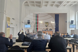 Петрич - Общински съвет - заседание