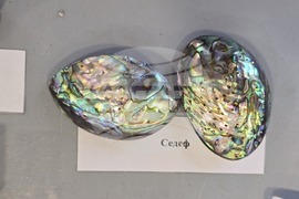 Кърджали - работилница - геология