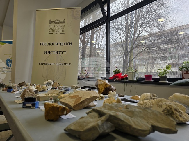 Кърджали - работилница - геология