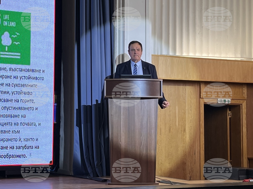 Expert Sees the Right Conditions in Bulgaria to Build High-Speed Rail Services